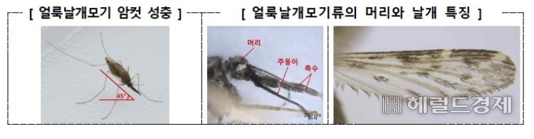 [질병관리청 제공]