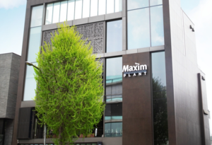 Dongsuh Foods launches summer lineup at Maxim Plant