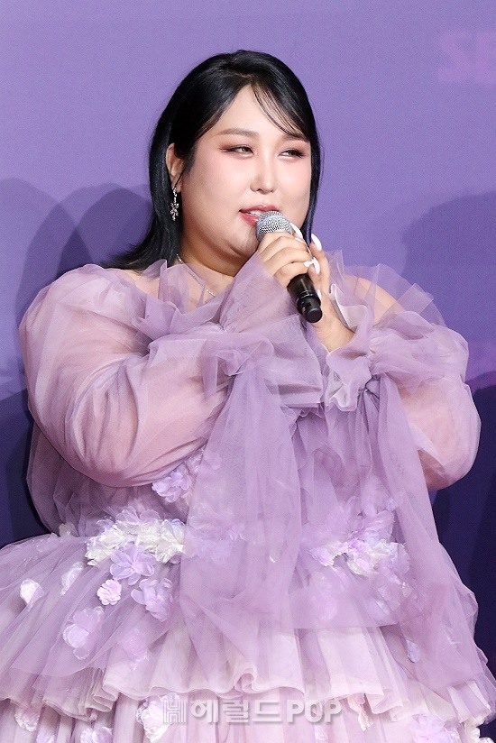 풍자/사진=헤럴드POP DB