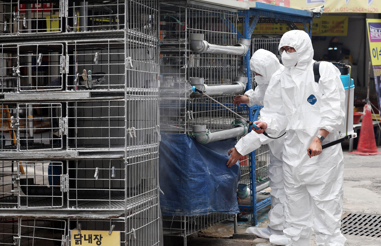 This photo shows officials conducting quarantine measures at a poultry shop. (Buk-gu district office in Gwangju)
