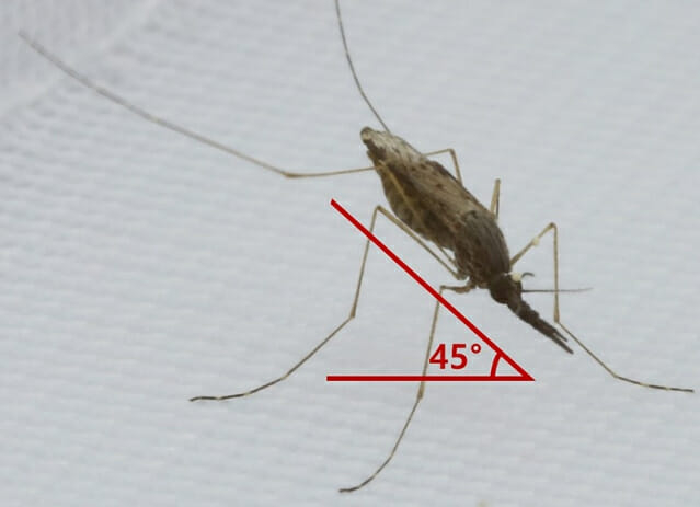 Stain ⁣ [질병관리청]