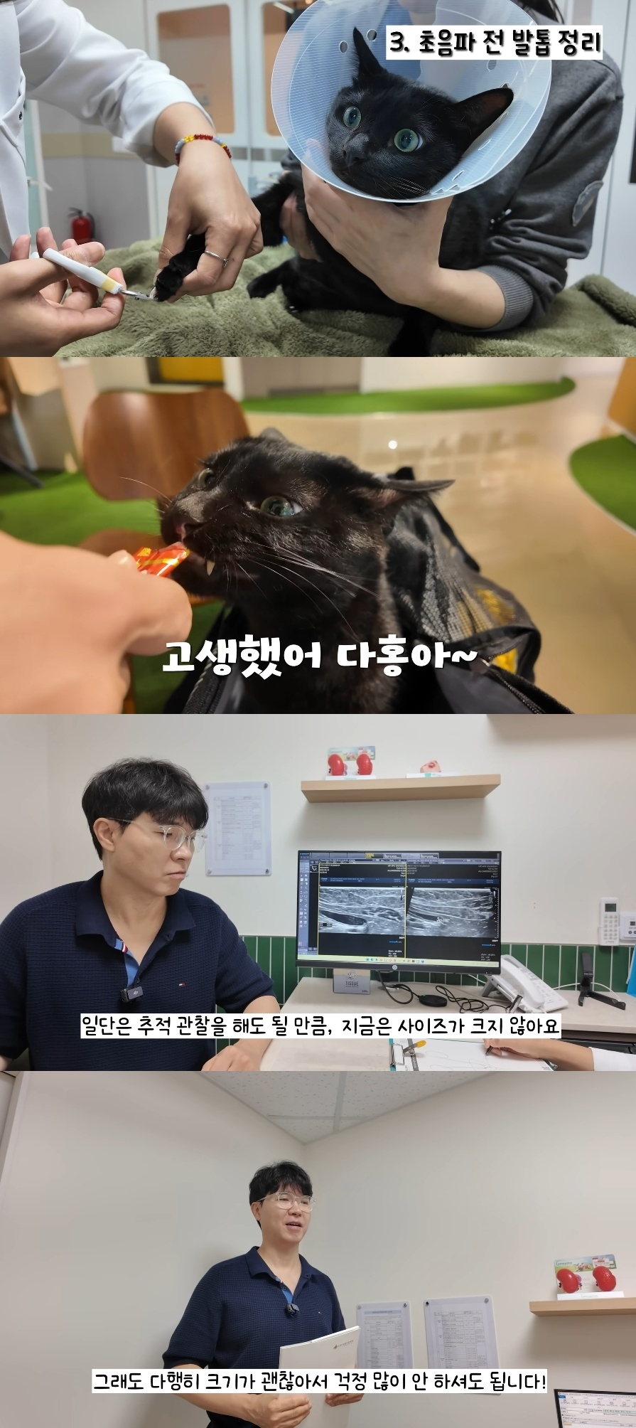 ‘행복해다홍’ 유튜브 캡처