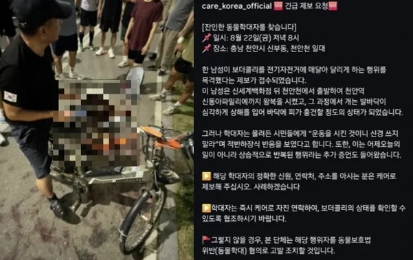 한 50대 남성이 자신이 키우는 반려견을 전기토토사이트 황토 줄을 매달아 끌고 가다가 시민들의 저지에 멈춰서고 있다 [소셜미디어 갈무리]