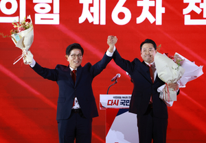 이런 정치