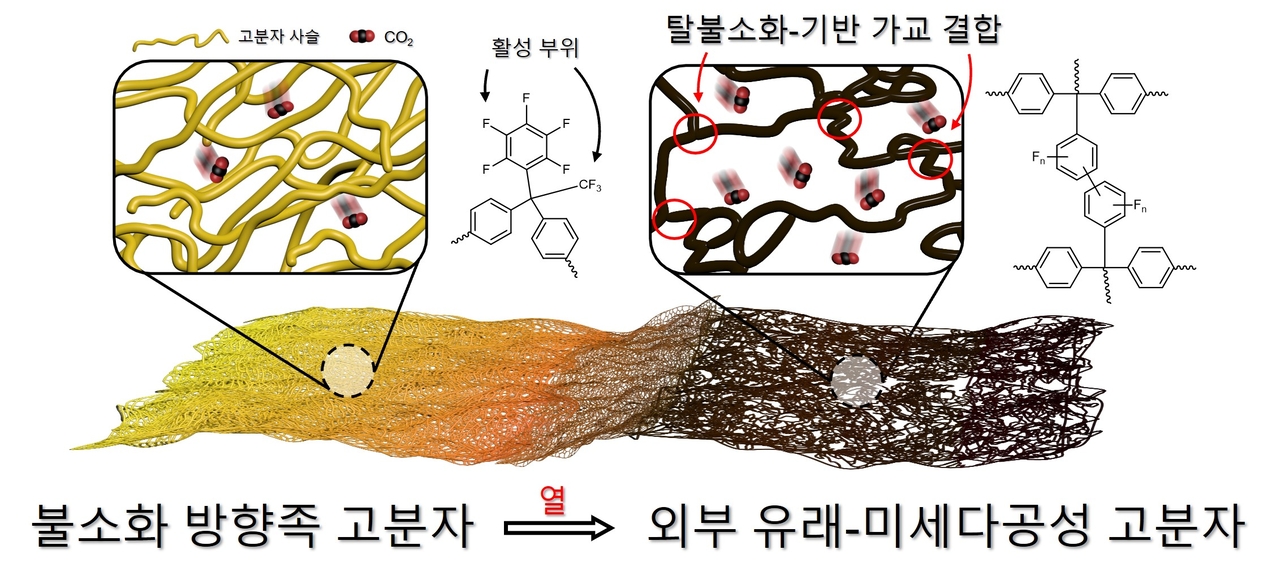 불소화 방향족 토토사이트 홍보 커뮤니티의 탈불소화 및 가교 메커니즘 모식도.[서강대학교 제공]