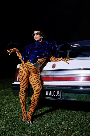 From Doja Cat to Oasis: More global stars coming to Korea later this year