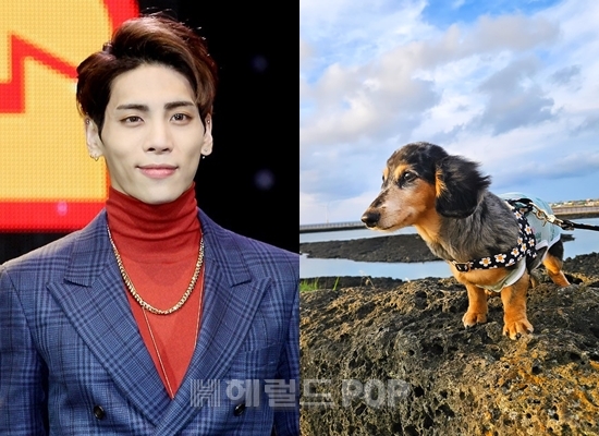 사진=헤럴드POP DB, 루 채널