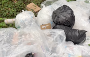 Bae Suzy, Kim Seon-ho's 'Delusion' faces backlash over Jeju filming trash