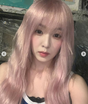레드벨벳 아이린, 요정 같은 핑크 헤어..걸그룹 미모 원톱 - 헤럴드 POP