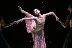 In the wake of falling petals, KNB ballet master contemplates life, seasons, poetry of movement