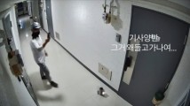 ‘배달 완료’ 문자받고 현관문 열었는데…한밤중 사라진 음식, 알고 보니