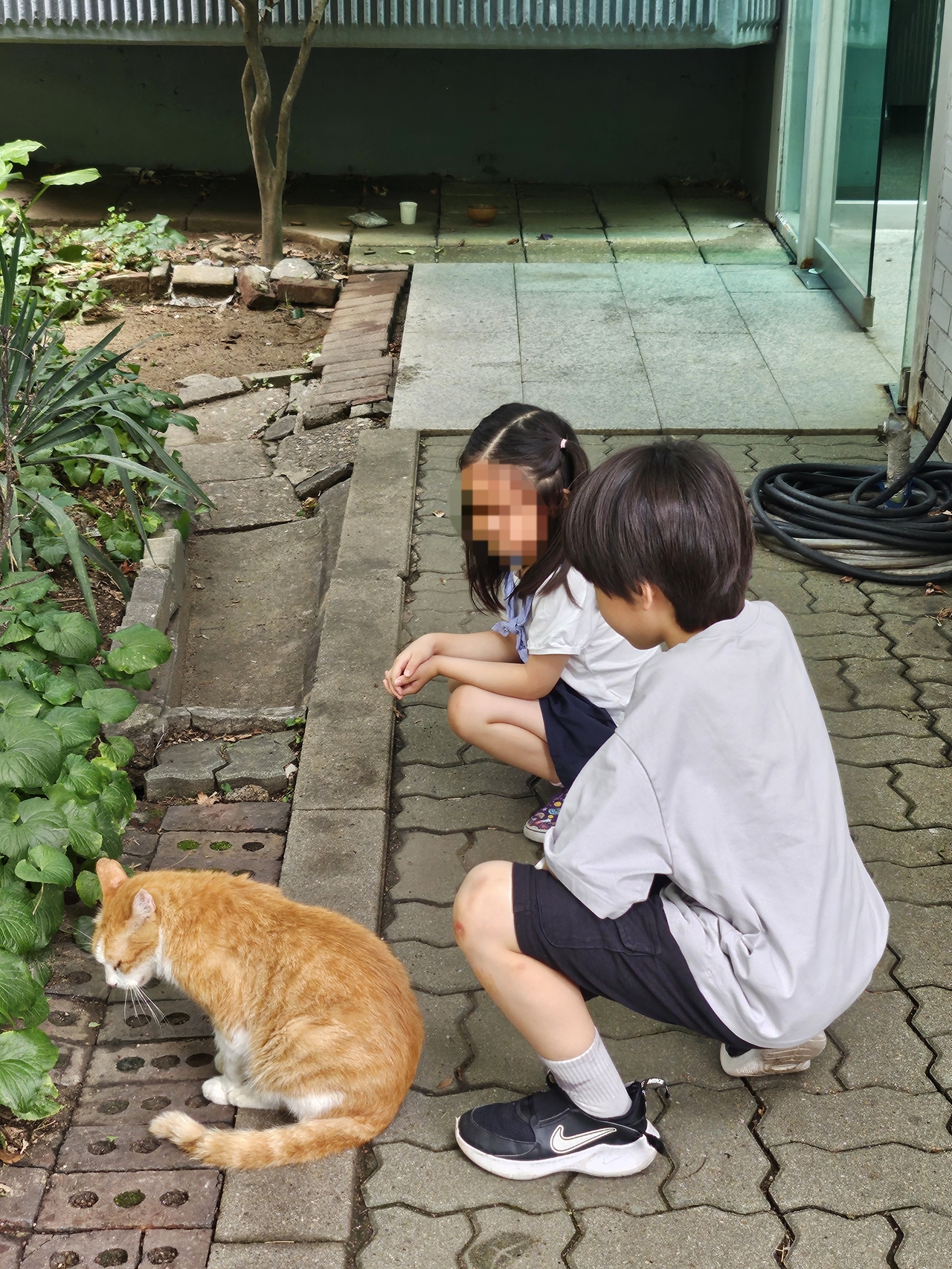 Kim’s children observe a street cat. (Kim Sang-eun)