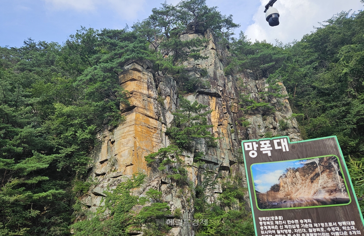 망폭대