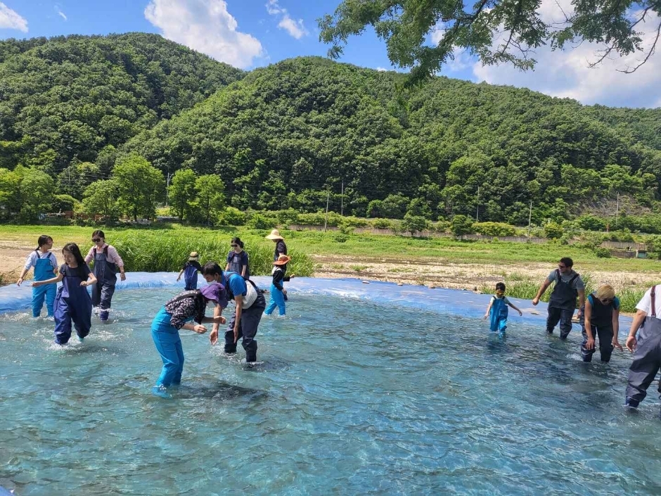 Yangpyeong Catfish Whiskers Festival (Korea Tourism Organization)