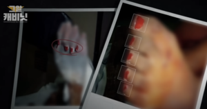 True Crime (3) Vanished on Suneung day: Pocheon kidnapping and murder