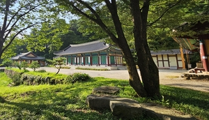 정용식의 사찰 기행