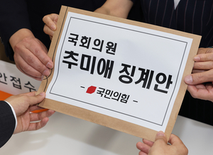 이런 정치