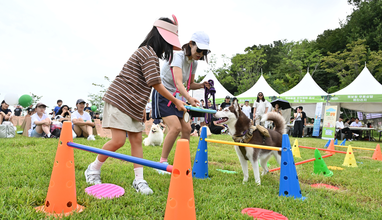 Participants navigate a dog agility course with their pets at Wellness Seoul 2025 on Sunday. (Im Se-jun/The Korea Herald)