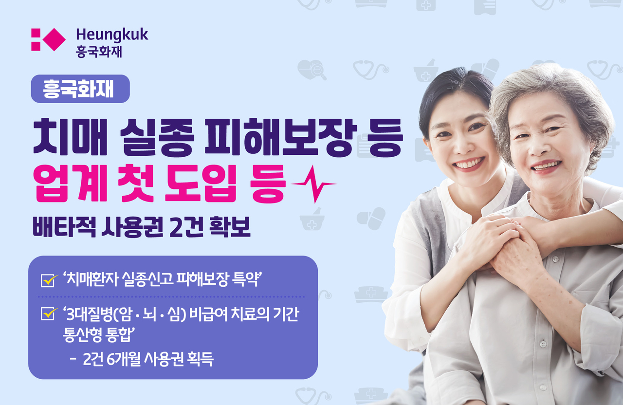 [흥국화재 제공]