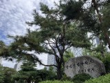 [르포]“1기 신도시 재건축 밀어준다고?” 분당 시범1 통합재건축 탄력…희비 엇갈리는 선도지구[부동산360]