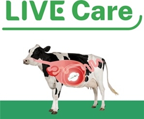 유라이크, 美서 축우 헬스케어기술 특허 - 뉴스 썸네일 이미지