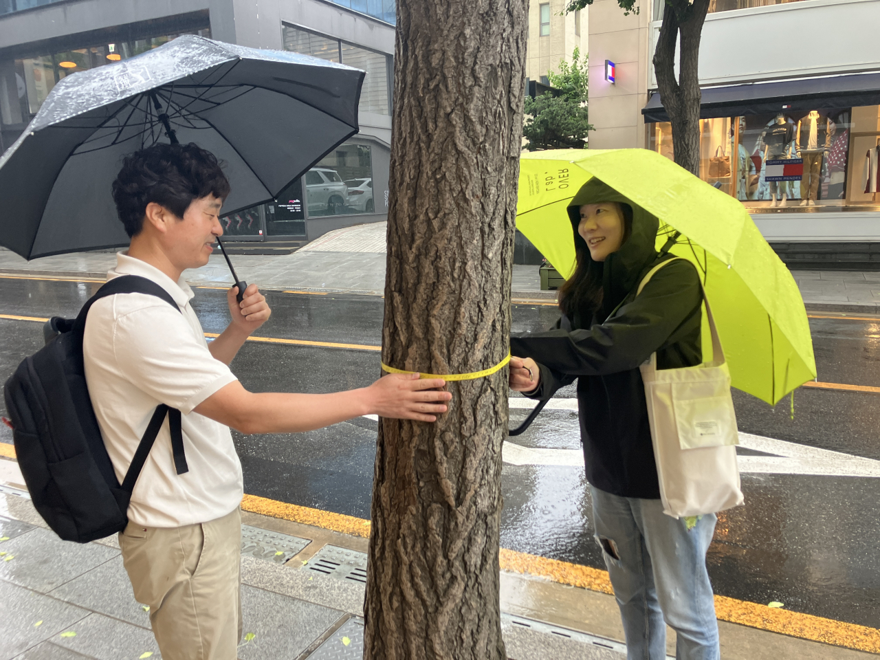 서울 강남구에서 가로수의 둘레를 재고 있는 시민들 [서울환경연합 제공]