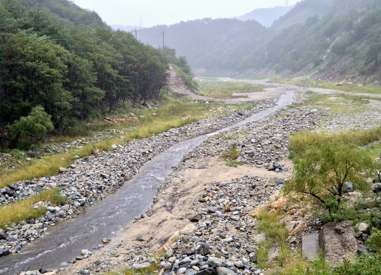Waters upstream of the Obong Reservoir in Gangneung, 210 kilometers east of Seoul, flow under falling rain on Saturday. (Yonhap)