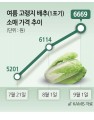 농산물값 절반이 ‘유통비용’…배추·무는 70% 넘는다