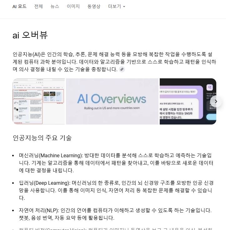 지난해 구글이 도입한 ‘AI오버뷰’ 서비스.검색 결과 창에 AI를 활용한 요약 정보를 우선 노출한다. [구글 캡처]