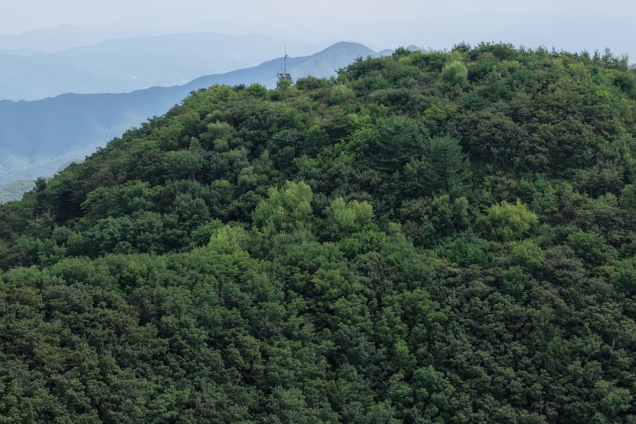 김천바람재 백두대간 복원지 전경(현재).
