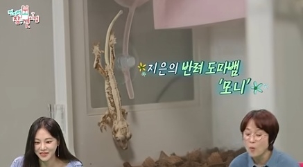 사진=MBC ‘전지적 참견 시점’ 캡처