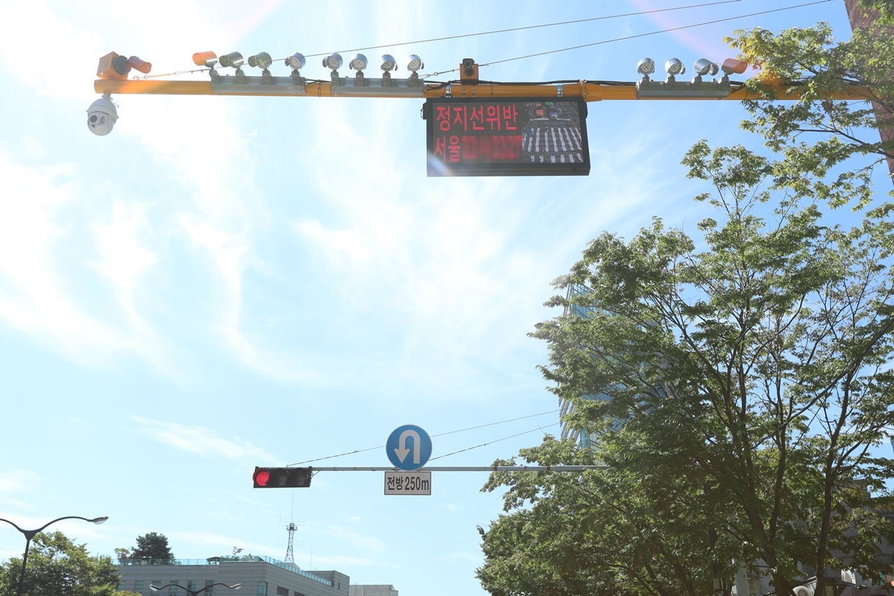 성동구 스마트 횡단보도 설치 3년...보행자 인명피해 52.6% 줄어 - 헤럴드경제