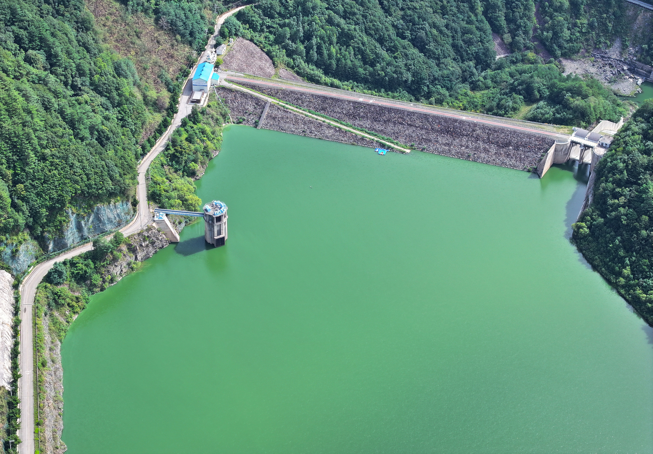 Green-tinted water caused by algal blooms is seen at the Doam Dam in Pyeongchang, Gangwon Province, Sept. 8. (Yonhap)