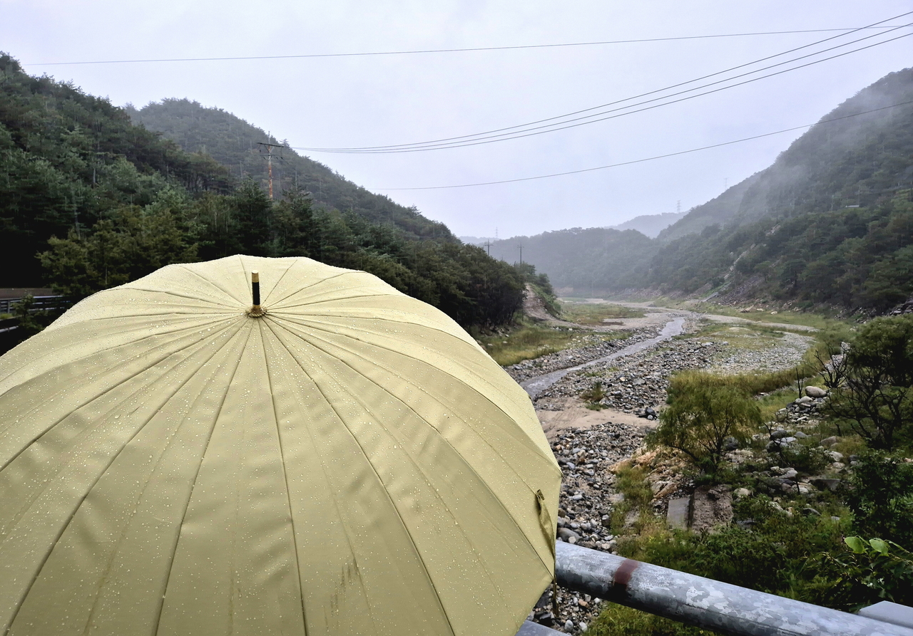 A resident with an umbrella watches rain fall over the Obong Reservoir in Gangneung, Gangwon Province, on Saturday. (Yonhap)