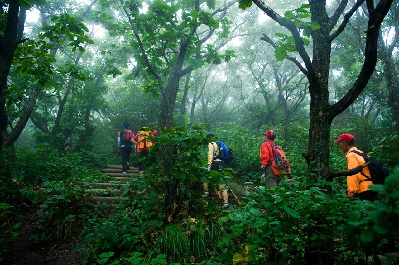 영주시는 20일 오전 11시, 죽계구곡 라디엔티어링 을 개최한다. 사진을 지난해 행사모습.[영주시 제공]