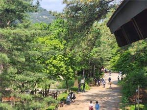 세상&