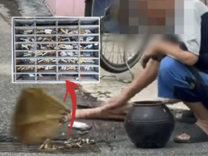 지구, 뭐래?