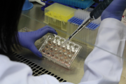 윤석열 정부 R&D 삭감 후폭풍…기초연구 선정률 ‘3분의 1 토막’