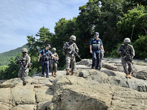 US defense strategy poised to press South Korea for bigger military role: report