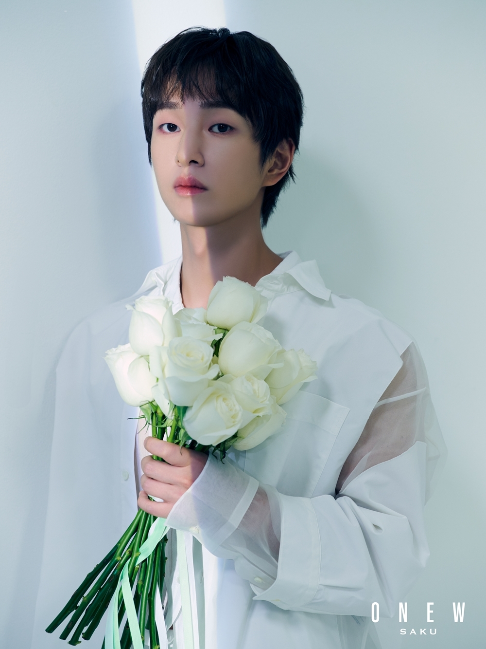Onew (Griffin Entertainment)