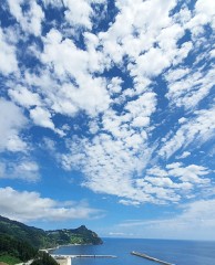 [포토뉴스] 울릉 사동항, 가을빛 속 풍경 선사