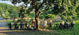 Fall perfect time for travel in Korea with discounts on trains, accommodations and more