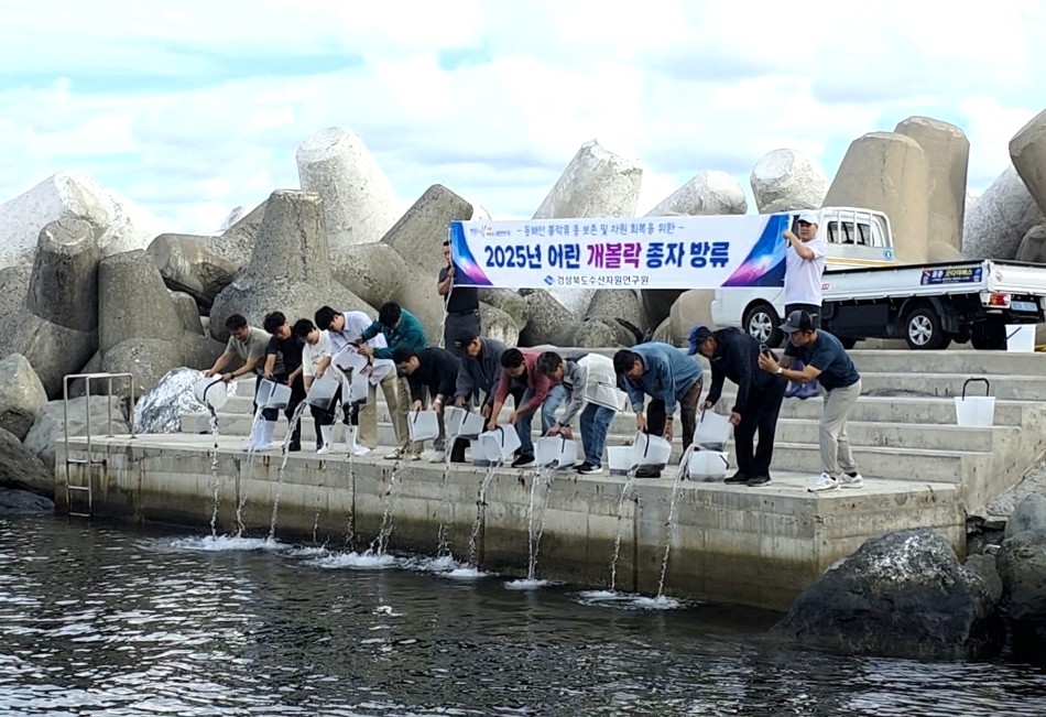 23일 울릉군이 어린 개볼락 치어 4만 마리를  인근 해역에 방류했다.[울릉군 제공]