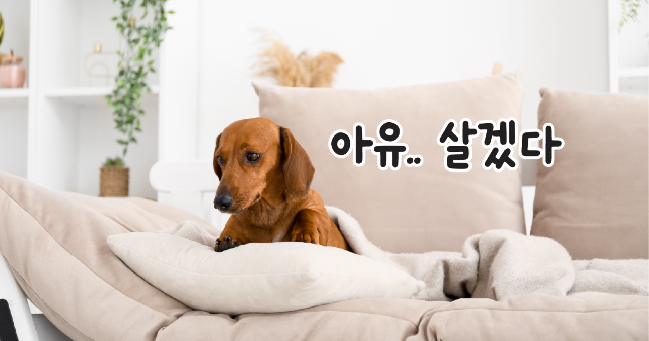 ©123rf