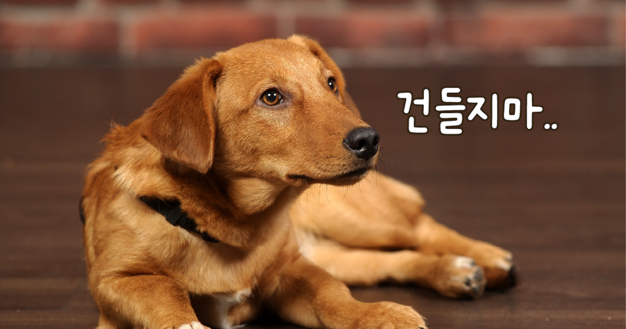 ©123rf