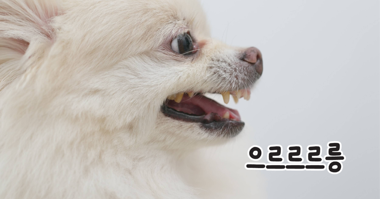 ©123rf