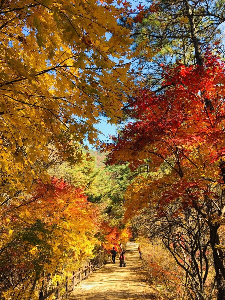 Uiryeong Trail on Bukhansan (Korea National Park Service)