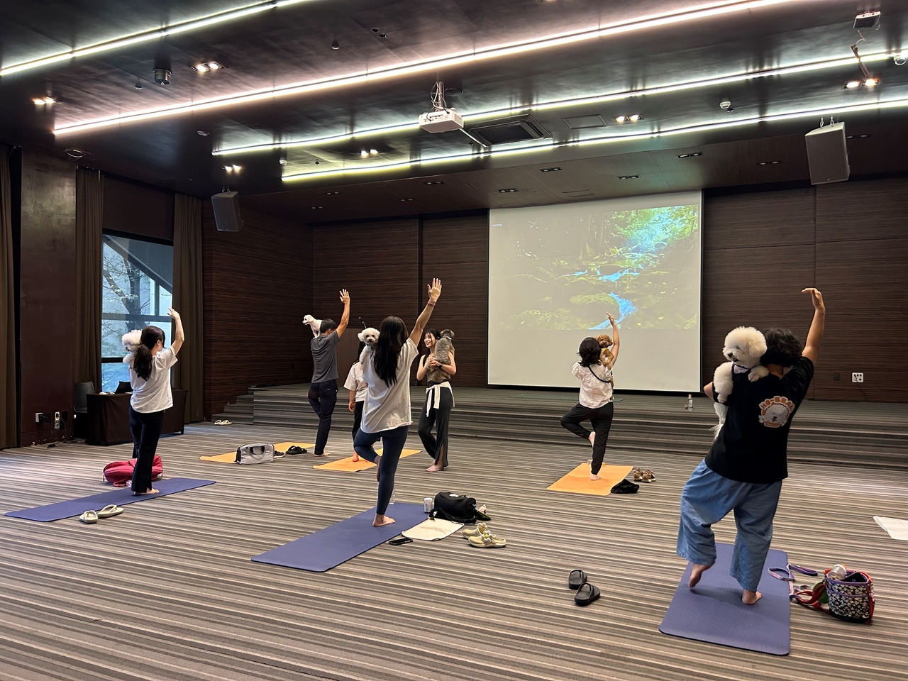 Kensington Resort Chungju