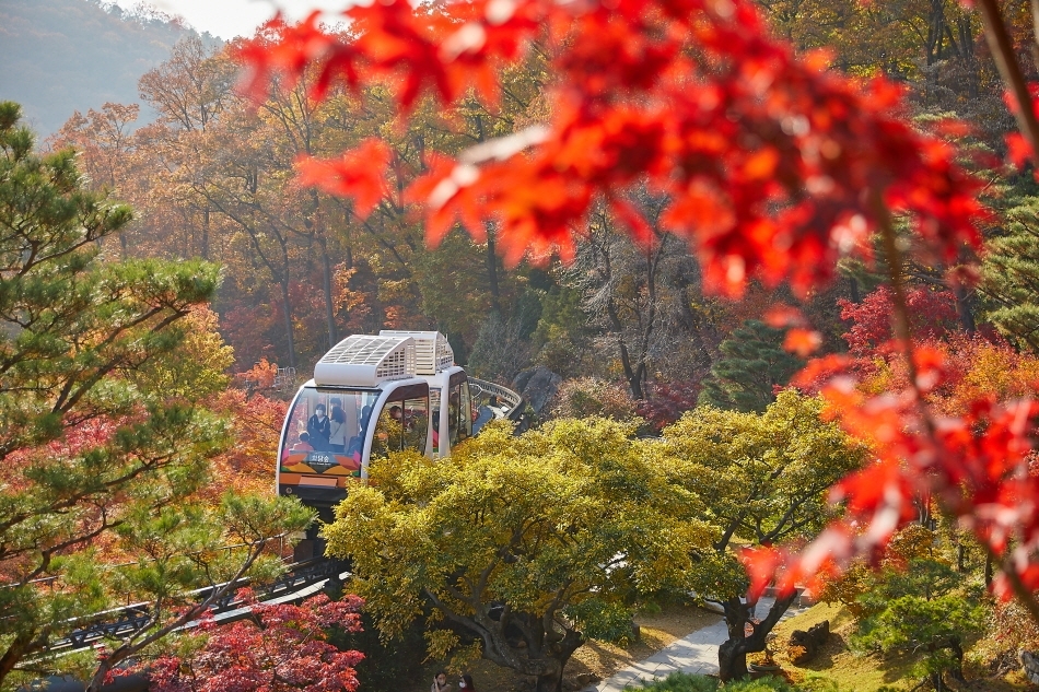 Hwadam Botanic Garden in Gwangju, Gyeonggi Province (Korea Tourism Organization)