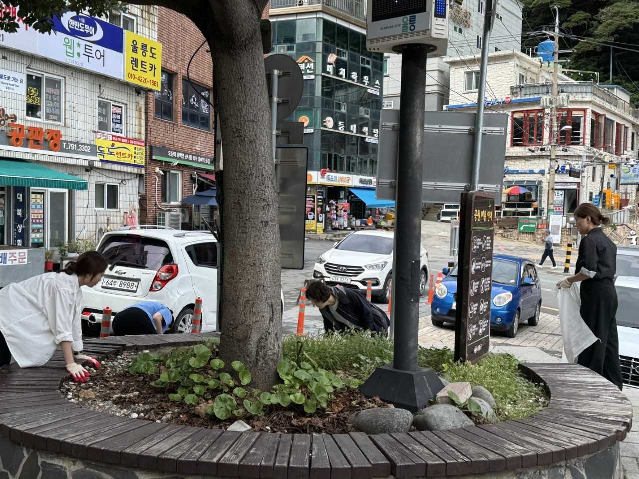 25일 울릉군이 ‘대한민국 새 단장 캠페인’과 연계한 추석맞이 국토대청결운동을 벌였다.[울릉군 제공]